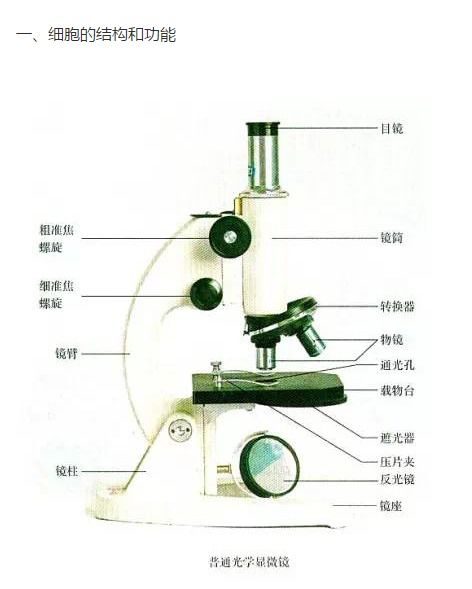 高中生物學基礎圖像考點與生物基材料技術研發