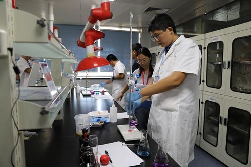 臨沂市舉辦2024年食品安全檢驗檢測技術(shù)技能競賽 助推生物基材料技術(shù)研發(fā)與高質(zhì)量發(fā)展